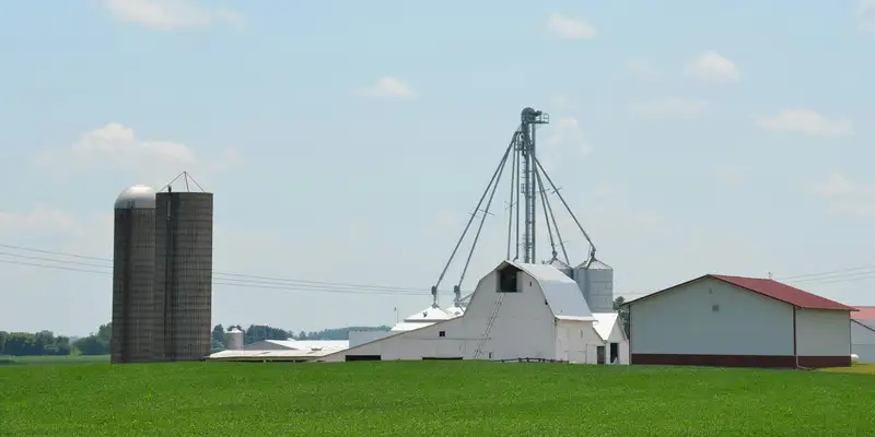 Rice mill with storage silos and buildings beside green fields