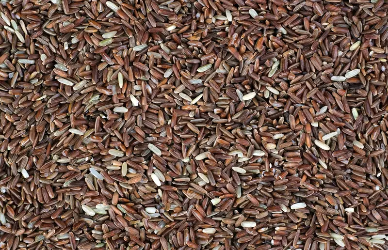 Close-up of a pile of red/brown wholegrain rice