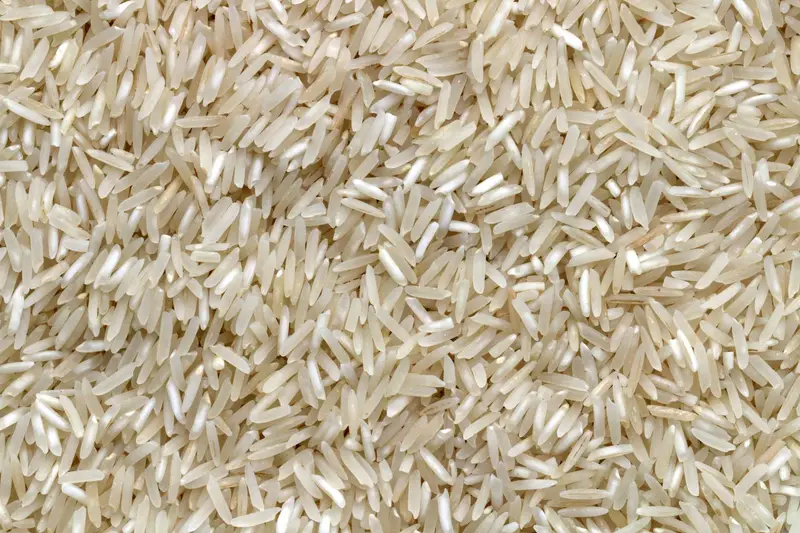 Close-up of raw white Sona Masoori rice grains